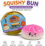 Squishy Bun Rainbow Mystery box pack of 1
