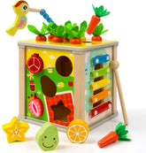 6 in 1 Montessori Wooden Toy for Toddlers
