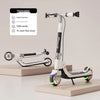 Adjustable Foldable Kick Scooter with Dual Brakes and Glowing LED Wheels