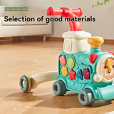 5in1 Multi-functional Baby Musical Train & Walker